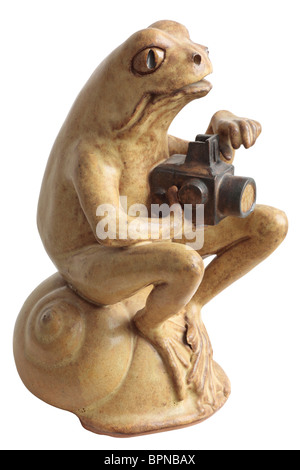 Pottery Frog Photographer Shooting with a Hasselblad Camera Stock Photo