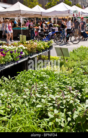 Union Square Farmers' Market, NYC Stock Photo