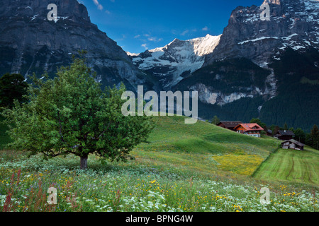 Morning light kisses the top of the mountains in the Grindelwald Valley of Switzerland Stock Photo
