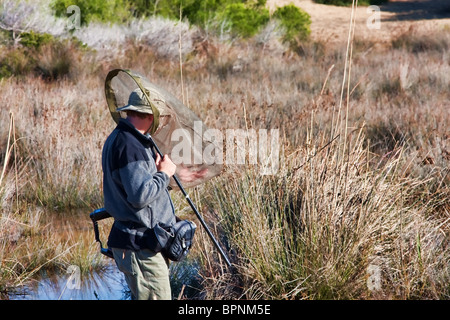 Biologist looking through an insect net at Kalogria, in Greece Stock Photo