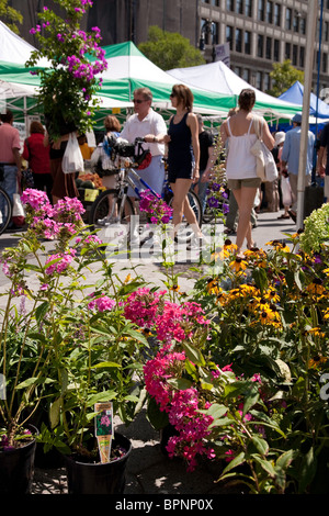 Union Square Farmers' Market, NYC Stock Photo