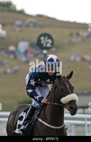 Bajan Tryst   jockey Eddie Ahern,  Riding up to  Ruk Leading Jockey Award stakes, Glorious Goodwood 29th July 2010 Ladies' Day. Stock Photo