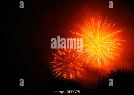 Firework bursts in the night sky, over trees (just visible). Space for text in the dark of the night sky. Stock Photo