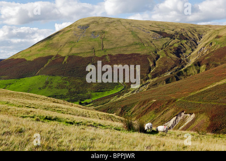 Blease Fell near Sedbergh in the Howgill Fells, Yorkshire Dales National Park, Cumbria, England. Stock Photo