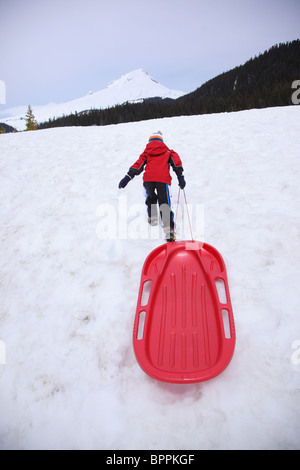 Young boy pulling sled up hill Stock Photo