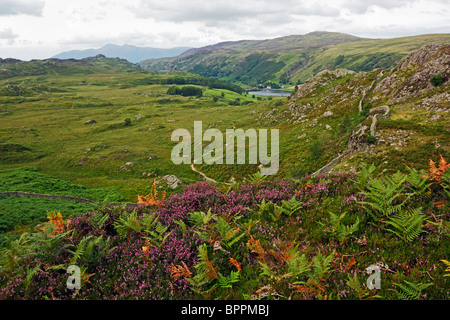 Watendlath Tarn from Great Crags in the Lake District National Park, Cumbria, England, UK. Stock Photo