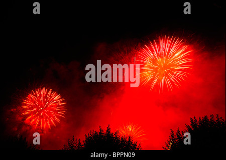 Firework bursts in the night sky, over trees (just visible). Space for text in the dark of the night sky. Stock Photo
