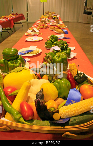 Vegetable Competition, Augusta County Fair, Fishersville, Shenandoah Valley, Virginia, USA Stock Photo