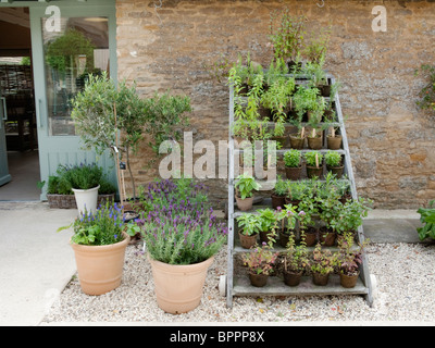 Daylesford Organic Farmshop in the Cotswolds, Gloucestershire, UK Stock Photo