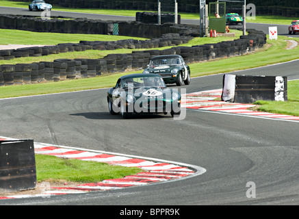 E Type Jaguar and MGB Race Cars Negotiate Brittens at Oulton Park Motor Racing Circuit Cheshire England UK Stock Photo