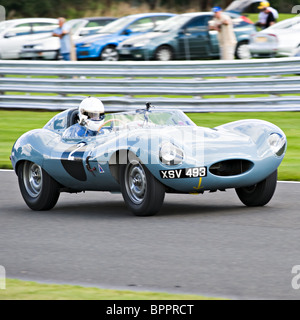 Jaguar D Type Sports Racing Car in Trophy Race at Oulton Park Motor Race Circuit Cheshire England United Kingdom UK Stock Photo