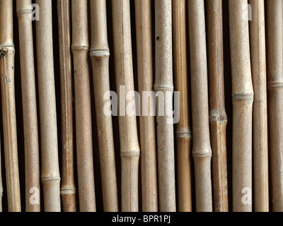 Bamboo fence made from straight bamboo poles Stock Photo