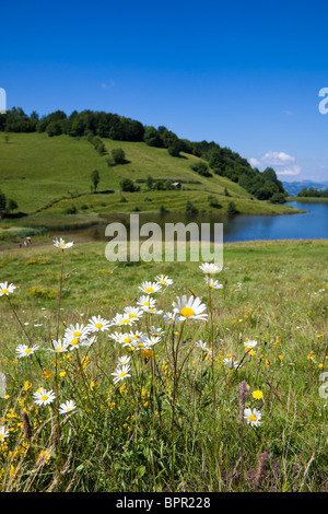 'Tau Mare' Lake close to Rosia Montana, Alba County, Romania. Stock Photo