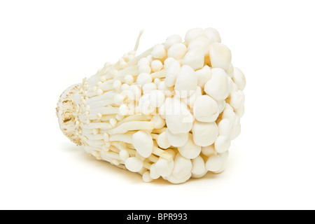 Abstract Enoki Mushrooms from low perspective isolated on white. Stock Photo