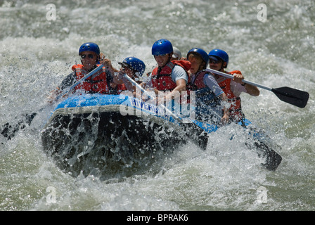 White Water Rafting on the Kuilu River, Sabah, Borneo. Stock Photo