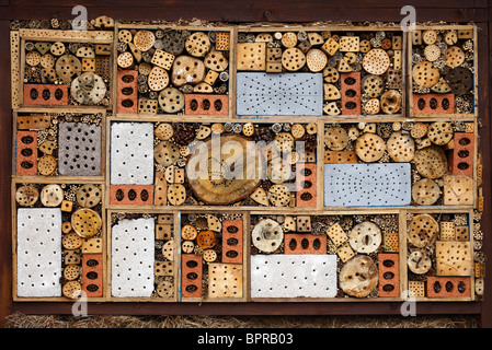 Wall built in an attempt to build the worlds largest bee home. Stock Photo