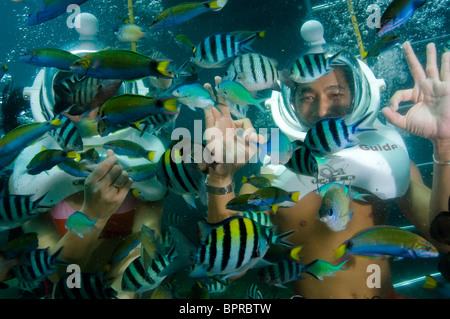 Happy couple Sea Walking, completely surrounded by fishes, profile, front view, Sapi Island, Sabah, Malaysia Stock Photo