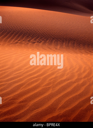 Sand dune detail at sunset with light and shadow Stock Photo