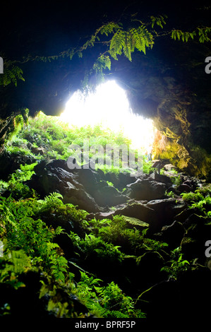 Entrance to natural caves with lush greenery Stock Photo