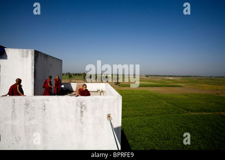 A group of Buddhist children monks on the roof of a monastery during the break from a school lesson, Bodhgaya, Bihar, India. Stock Photo