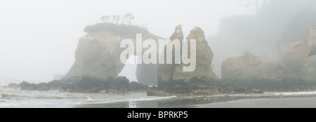 Seastacks and arch in fog, Elephant Rock, Quinault Indian Reservation, Pacific Coast, Washington, USA  PANORAMIC Stock Photo