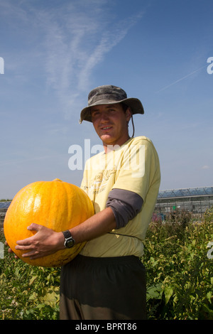 Portuguese seasonal Migrant Worker picking Pumpkins; Farms & workers farming;  Market Gardening harvesting crops in Tarleton, Lancashire, Preston, UK Stock Photo