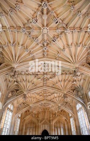 The Divinity School of the Bodleian Library, Oxford 3 Stock Photo