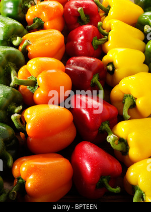 Mixed red, green, yellow & orange fresh bell peppers photos, pictures & images Stock Photo
