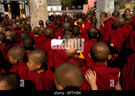 Group of young Tibetan monks visiting the Mahabodhi Temple, Bodhgaya, Bihar, India. Stock Photo