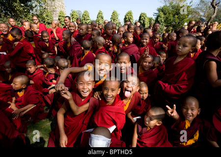 Group of young Tibetan monks visiting the Mahabodhi Temple, Bodhgaya, Bihar, India. Stock Photo