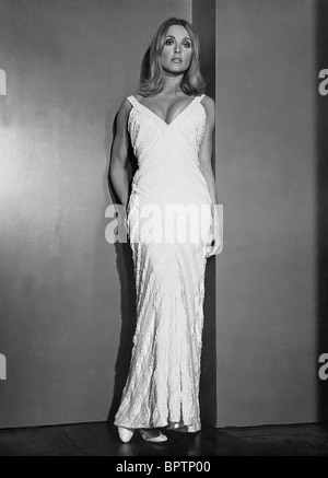 SHARON TATE ACTRESS (1966) Stock Photo