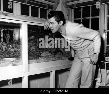 DIRK BOGARDE ACTOR (1955) Stock Photo