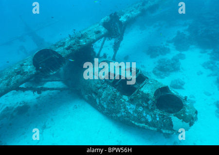 Wreck of a PBY Catalina seaplane or flying boat underwater, Biak, West Papua, Indonesia. Stock Photo