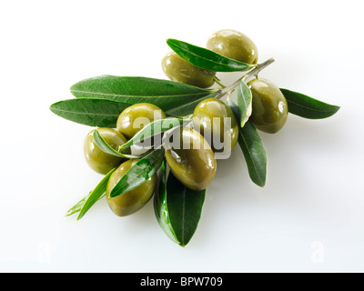 Fresh green queen olives on an olive sprig photos, pictures & images. Cut out against white background Stock Photo