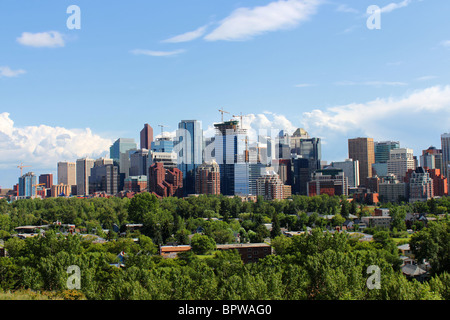 Skyline view of high rise office and apartment buildings in Calgary, Alberta, Canada with greenery in the foreground Stock Photo