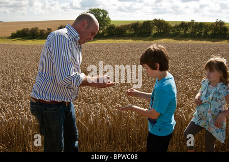 Farmer teaching children about wheat, where flour comes from. Stock Photo