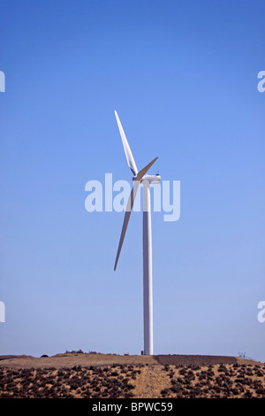 Electric generating windmills on a hill near Ellensburg Washington with blue skies. Stock Photo