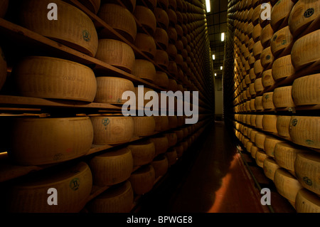 https://l450v.alamy.com/450v/bpwge8/parmigiano-cheese-bank-in-italy-bpwge8.jpg