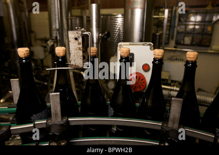 Prosecco, Italy's answer to champagne. Stock Photo