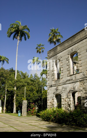 Ruins of Farley Hill Mansion in Farley Hill National Park in the Parish of Saint Peter Stock Photo