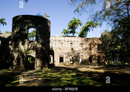 Ruins of Farley Hill Mansion in Farley Hill National Park in the Parish of Saint Peter Stock Photo