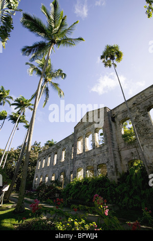 Ruins of Farley Hill Mansion in Farley Hill National Park in the Parish of Saint Peter Stock Photo