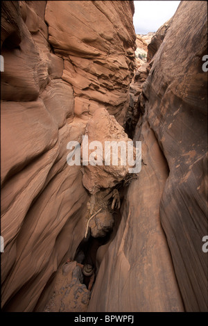 A man nearly hidden in the deep sandstone slot of lower Blue John Canyon, on the Colorado Plateau, Utah Stock Photo