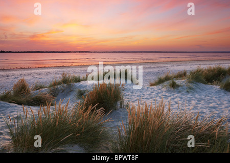 Sand dunes at East Head, West Wittering. A sand and shingle spit located at the entrance to Chichester Harbour Stock Photo