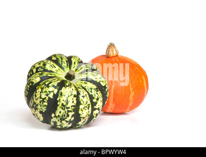 Two decorative squashes or gourds - varieties Harlequin and Onion - on a white background - with shadow Stock Photo