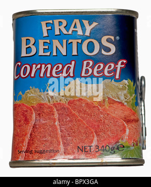https://l450v.alamy.com/450v/bpx3ga/fray-bentos-tin-of-corned-beef-produce-of-brazil-bpx3ga.jpg