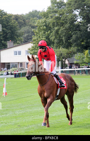 Betfred Sprint ' Goals Galore' Superior Mile Chase Cup Race meeting, Haydock Park Racecourse Saturday 4th September 2010 Stock Photo