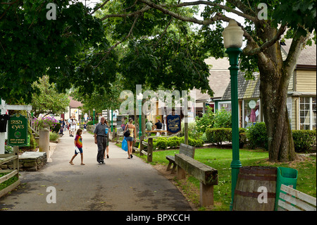 Shops and gardens in Mystic Village