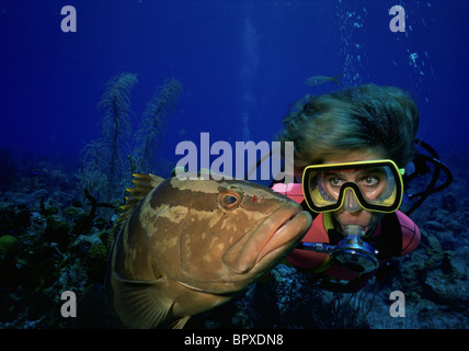 Female scuba diver and grouper, Cayman Brac Stock Photo