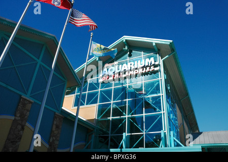 Ripley's Aquarium of the Smokies Gatlinburg Tennessee Stock Photo